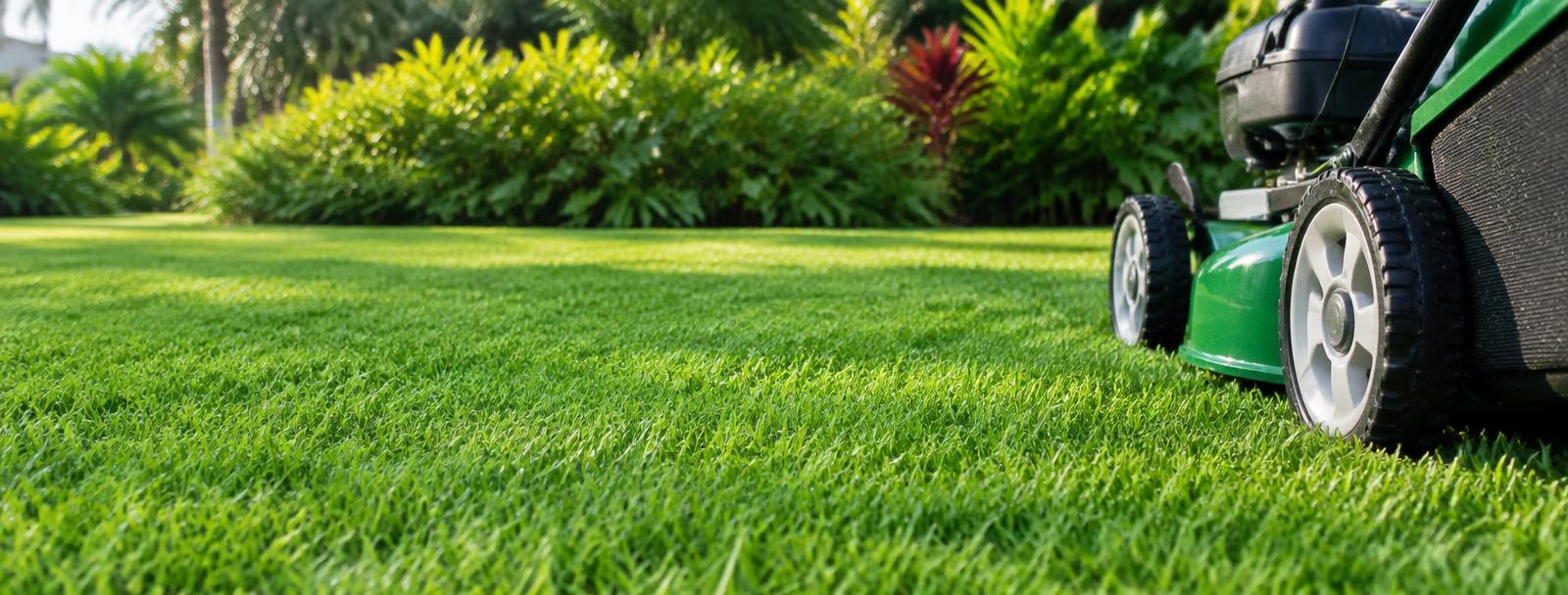 Lawn mower on freshly cut grass